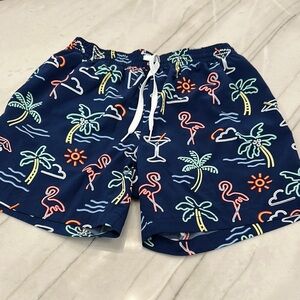 Chubbies Swim Trunks- Size Small- lined